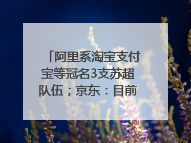 阿里系淘宝支付宝等冠名3支苏超队伍；京东：目前京东币链科技并没有开始发行稳定币｜早资道
