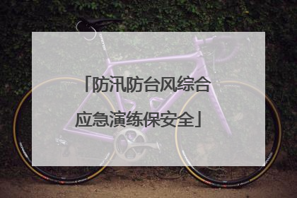 防汛防台风综合应急演练保安全