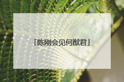 陈刚会见何猷君