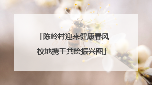 陈岭村迎来健康春风 校地携手共绘振兴图