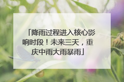 降雨过程进入核心影响时段！未来三天，重庆中雨大雨暴雨