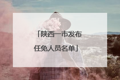 陕西一市发布任免人员名单