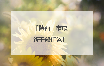 陕西一市最新干部任免