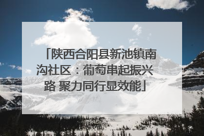 陕西合阳县新池镇南沟社区：葡萄串起振兴路 聚力同行显效能