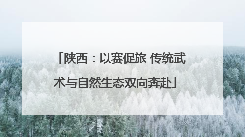 陕西：以赛促旅 传统武术与自然生态双向奔赴