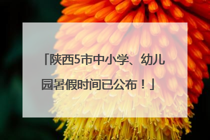 陕西5市中小学、幼儿园暑假时间已公布！