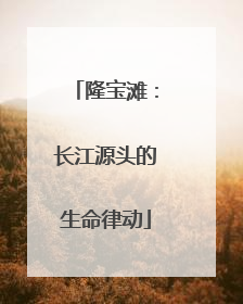 隆宝滩：长江源头的生命律动
