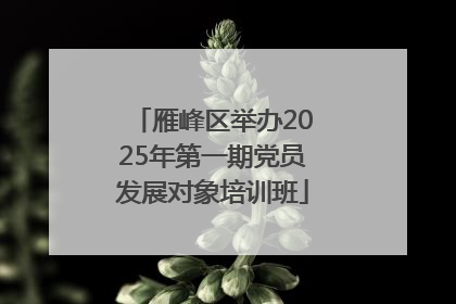 雁峰区举办2025年第一期党员发展对象培训班