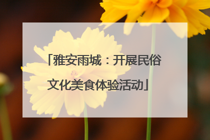 雅安雨城：开展民俗文化美食体验活动