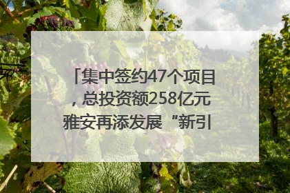 集中签约47个项目，总投资额258亿元 雅安再添发展“新引擎”｜数读西投
