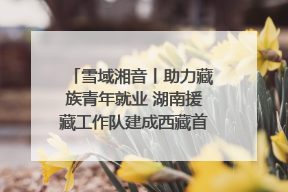雪域湘音丨助力藏族青年就业 湖南援藏工作队建成西藏首个清洁能源装备园