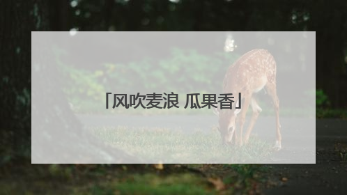 风吹麦浪 瓜果香