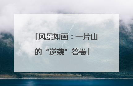 风景如画：一片山的“逆袭”答卷