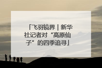 飞羽镜界｜新华社记者对“高原仙子”的四季追寻