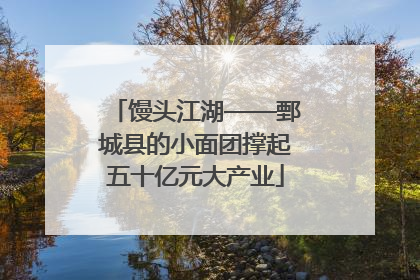 馒头江湖——鄄城县的小面团撑起五十亿元大产业