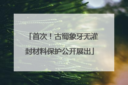 首次！古蜀象牙无灌封材料保护公开展出