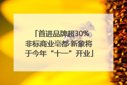 首进品牌超30% 非标商业亳都·新象将于今年“十一”开业