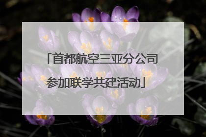 首都航空三亚分公司参加联学共建活动