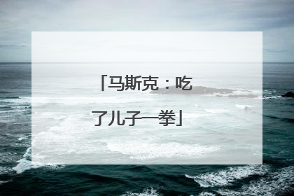 马斯克：吃了儿子一拳