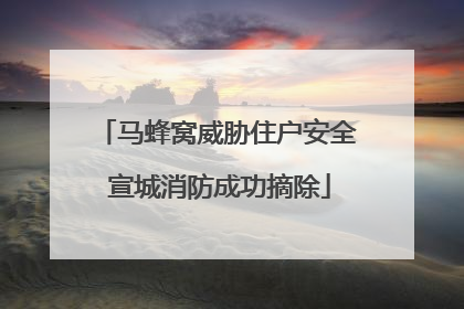 马蜂窝威胁住户安全 宣城消防成功摘除