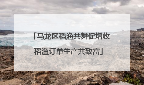 马龙区稻渔共舞促增收 稻渔订单生产共致富