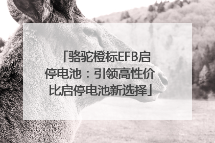 骆驼橙标EFB启停电池：引领高性价比启停电池新选择