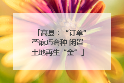 高县：“订单”苎麻巧套种 闲置土地再生“金”
