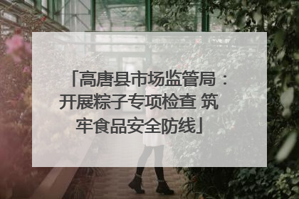 高唐县市场监管局：开展粽子专项检查 筑牢食品安全防线