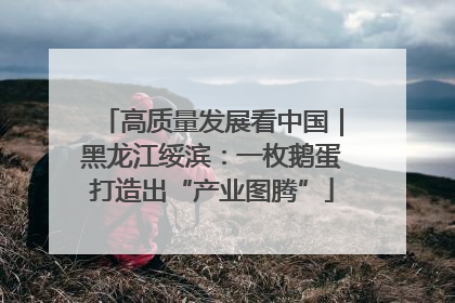 高质量发展看中国｜黑龙江绥滨：一枚鹅蛋打造出“产业图腾”