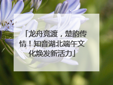 龙舟竞渡，楚韵传情！知音湖北端午文化焕发新活力