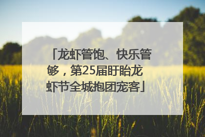 龙虾管饱、快乐管够，第25届盱眙龙虾节全城抱团宠客