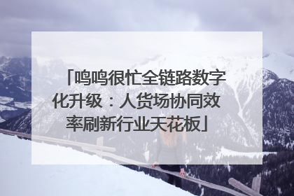 鸣鸣很忙全链路数字化升级：人货场协同效率刷新行业天花板