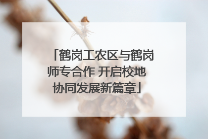 鹤岗工农区与鹤岗师专合作 开启校地协同发展新篇章