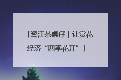 鹭江茶桌仔｜让赏花经济“四季花开”
