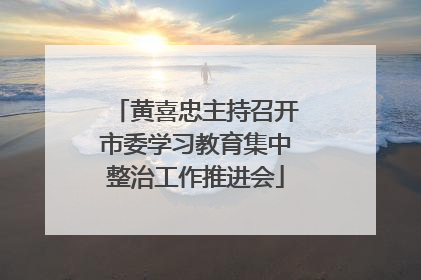 黄喜忠主持召开市委学习教育集中整治工作推进会