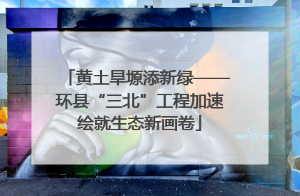 黄土旱塬添新绿——环县“三北”工程加速绘就生态新画卷