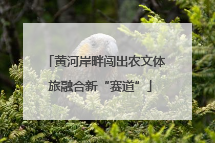 黄河岸畔闯出农文体旅融合新“赛道”