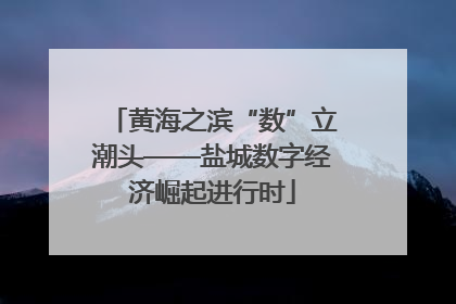 黄海之滨“数”立潮头——盐城数字经济崛起进行时