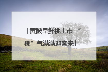 黄陂早鲜桃上市 “桃”气满满迎客来