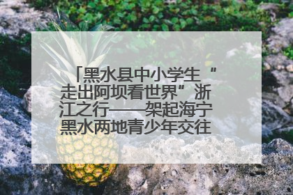 黑水县中小学生“走出阿坝看世界”浙江之行——架起海宁黑水两地青少年交往交流交融新桥梁