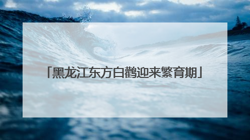黑龙江东方白鹳迎来繁育期