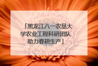 黑龙江八一农垦大学农业工程科研团队助力春耕生产