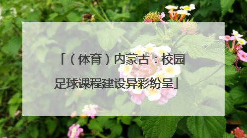 （体育）内蒙古：校园足球课程建设异彩纷呈