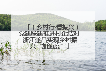 （乡村行·看振兴）党建联建推进村企结对 浙江遂昌实现乡村振兴“加速度”