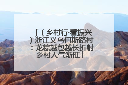 （乡村行·看振兴）浙江义乌何斯路村：龙粽越包越长折射乡村人气渐旺