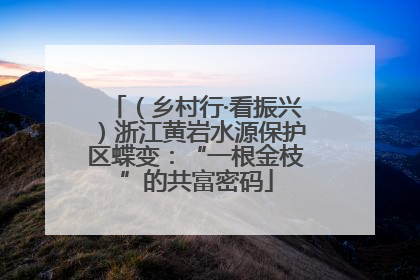 （乡村行·看振兴）浙江黄岩水源保护区蝶变：“一根金枝”的共富密码