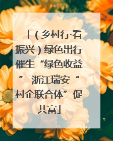 （乡村行·看振兴）绿色出行催生“绿色收益” 浙江瑞安“村企联合体”促共富