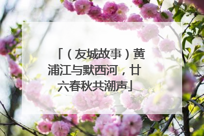 （友城故事）黄浦江与默西河，廿六春秋共潮声