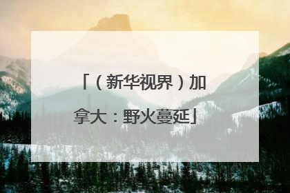 （新华视界）加拿大：野火蔓延