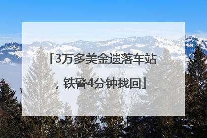 3万多美金遗落车站，铁警4分钟找回